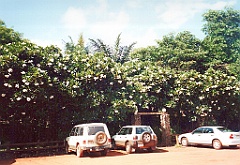 2000 - Australie 261T